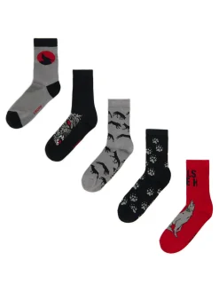 5 pack skarpet z wilkami