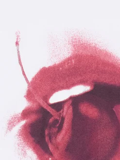 Biała koszulka z motywem wiśni